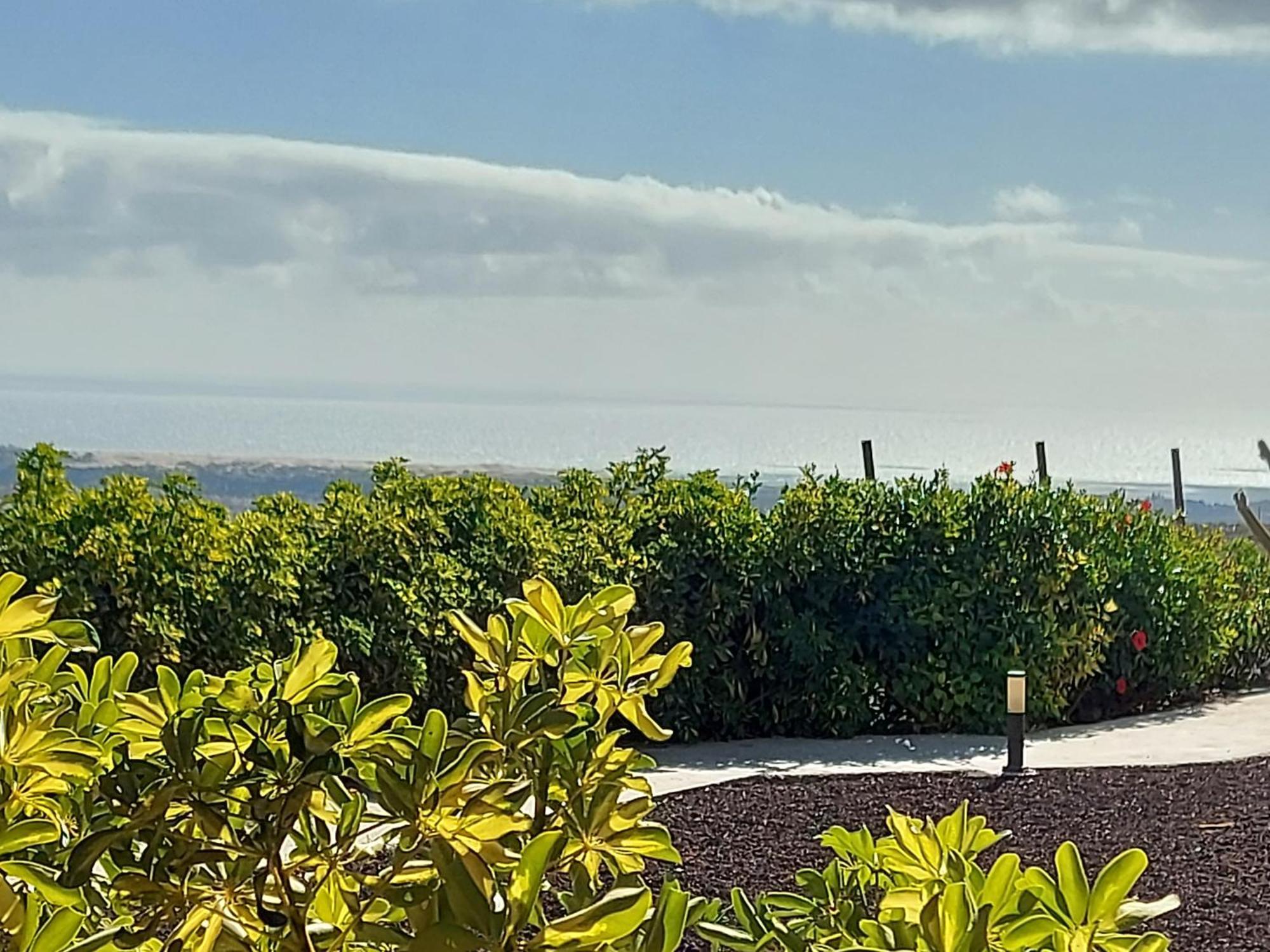 The Black Horse Canarias - Adults Only Maspalomas (Gran Canaria) Quarto foto