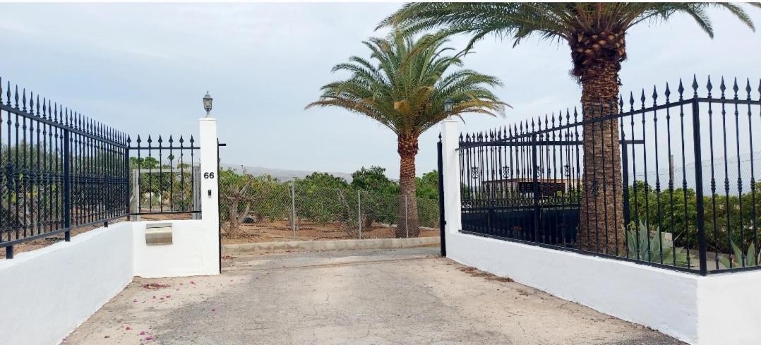 The Black Horse Canarias - Adults Only Maspalomas (Gran Canaria) Quarto foto